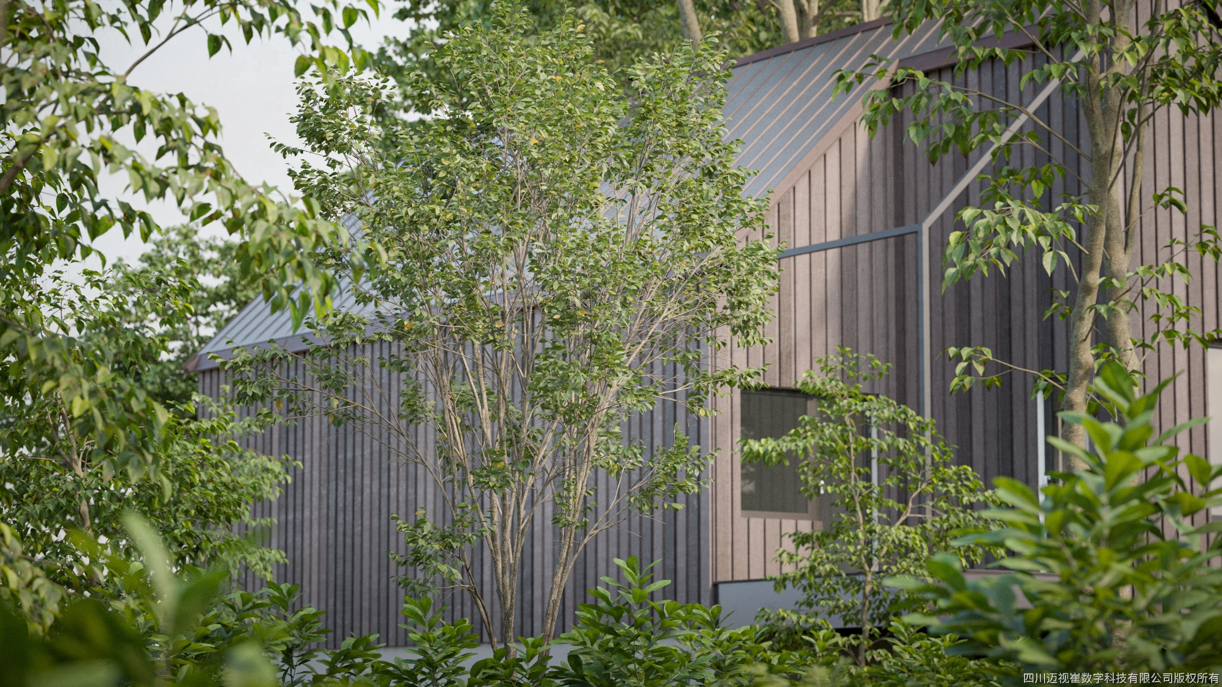 Maxtree Plant Models Vol 125 - Mesh 3D model_3