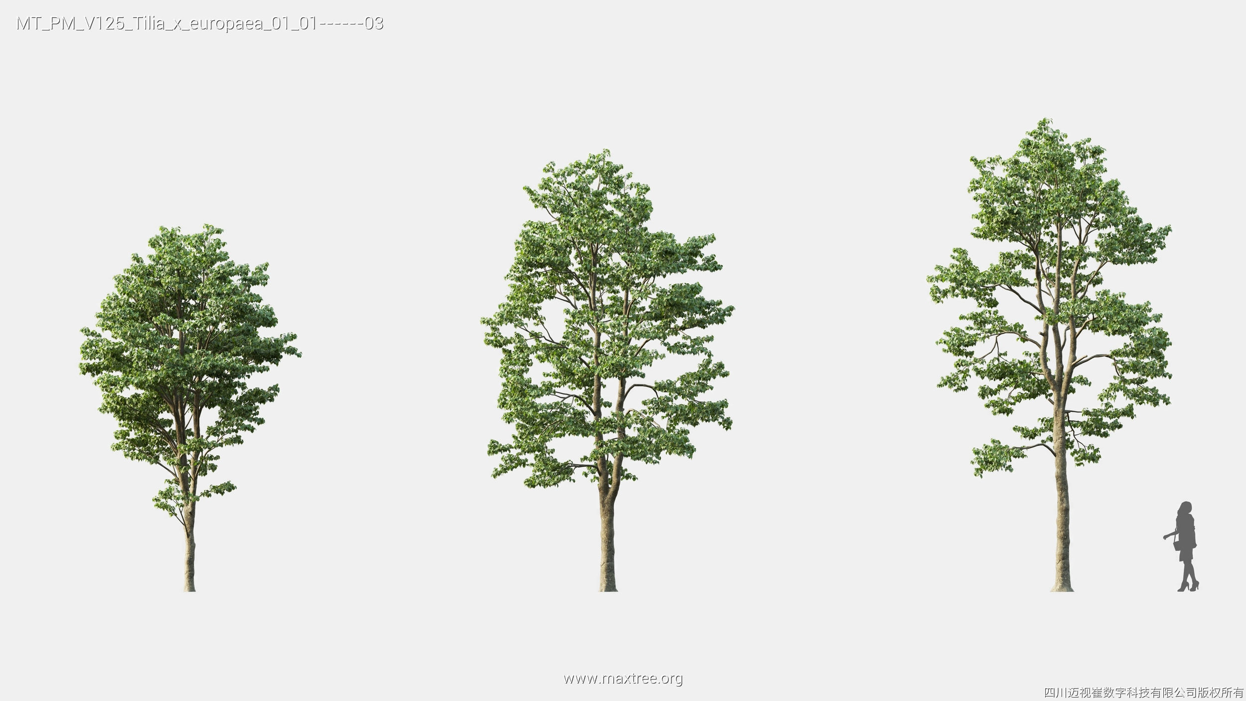 Maxtree Plant Models Vol 125 - Mesh 3D model_23