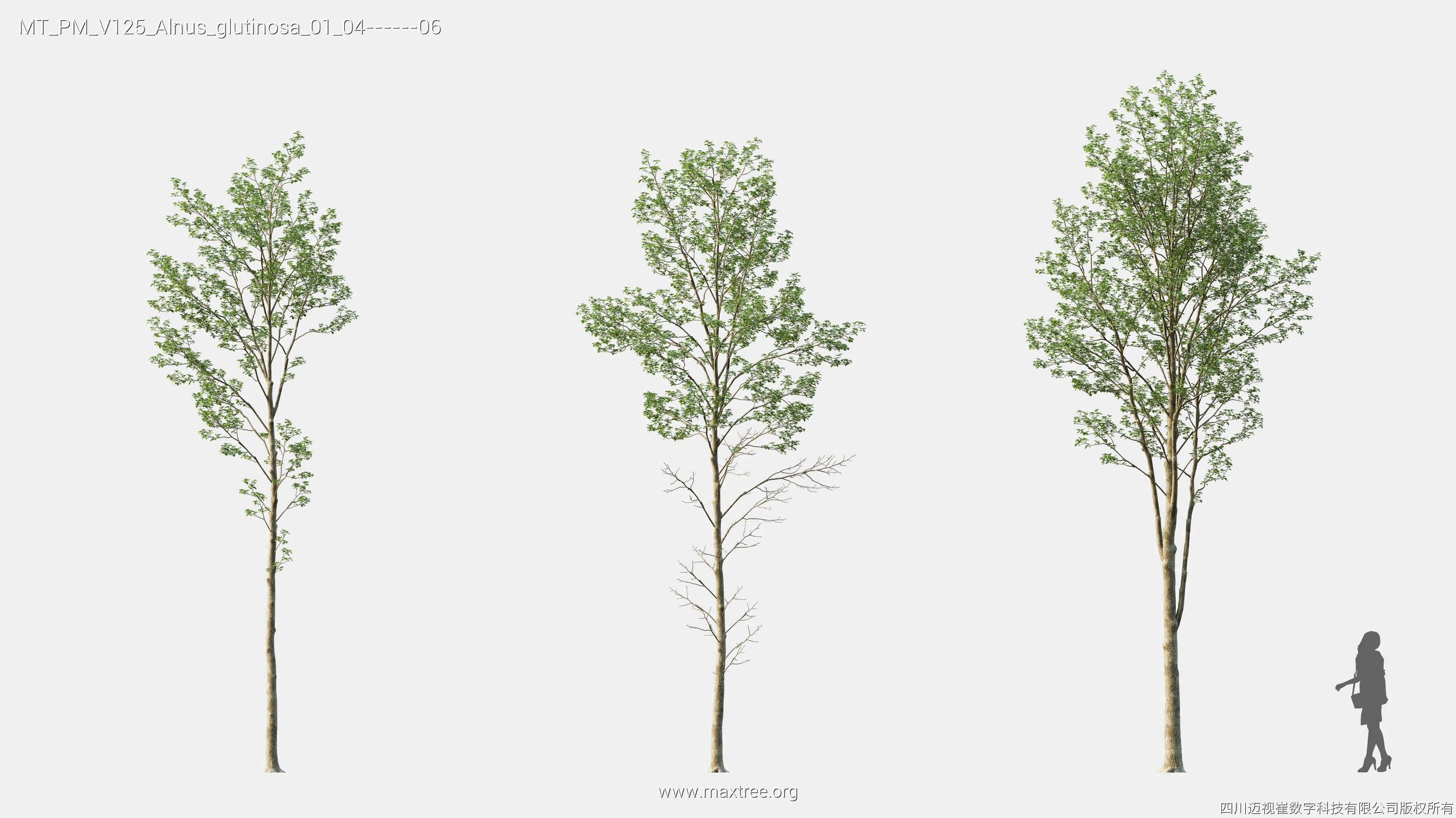 Maxtree Plant Models Vol 125 - Mesh 3D model_8