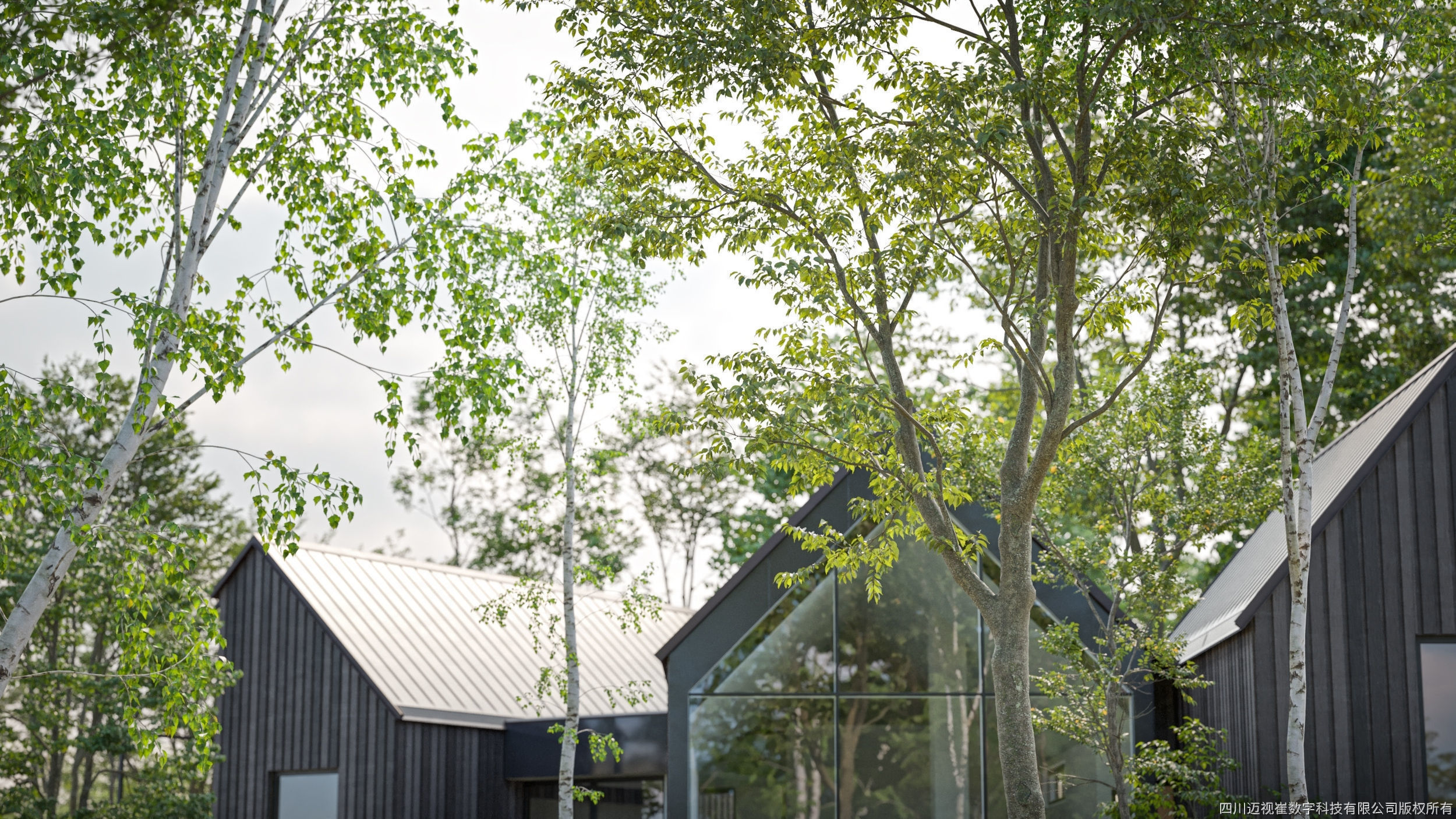 Maxtree Plant Models Vol 125 - Mesh 3D model_2