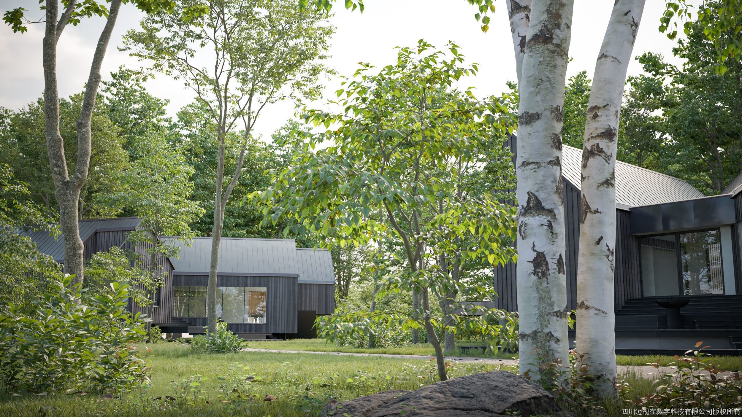 Maxtree Plant Models Vol 125 - Mesh 3D model_1