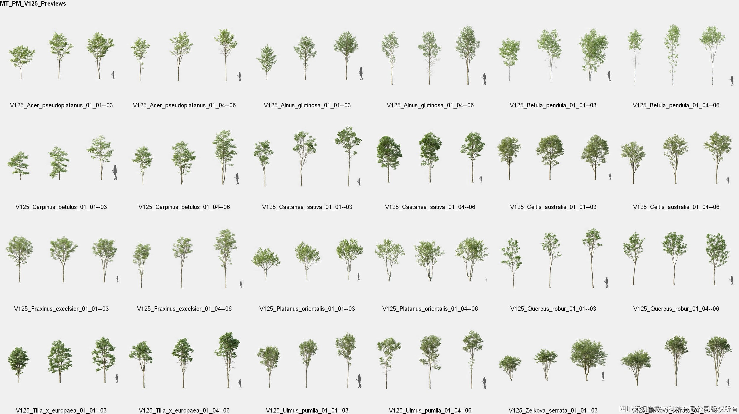 Maxtree Plant Models Vol 125 - Mesh 3D model_4
