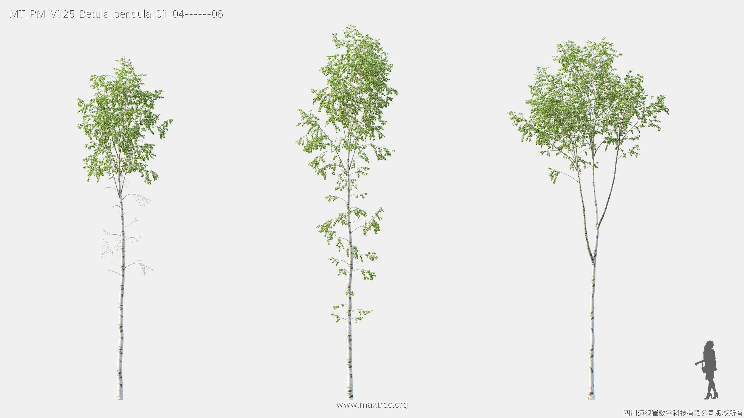 Maxtree Plant Models Vol 125 - Mesh 3D model_10