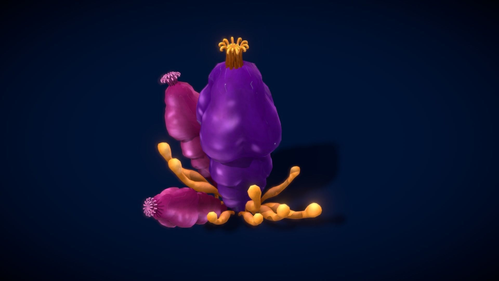 Cartoon Seaweed 8 Low-poly 3D model_7