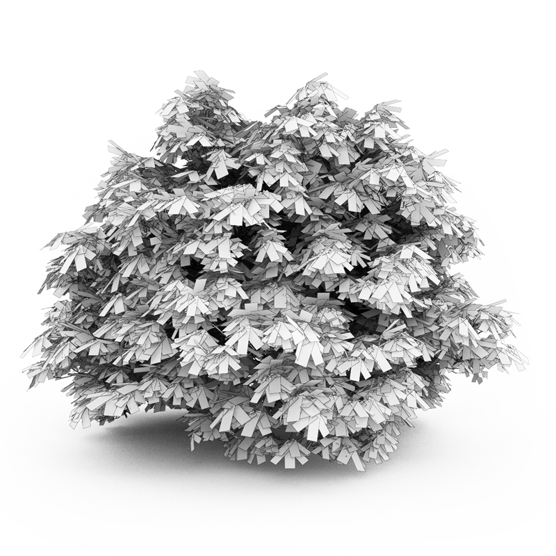 Bottlebrush Buckeye 3D model_1