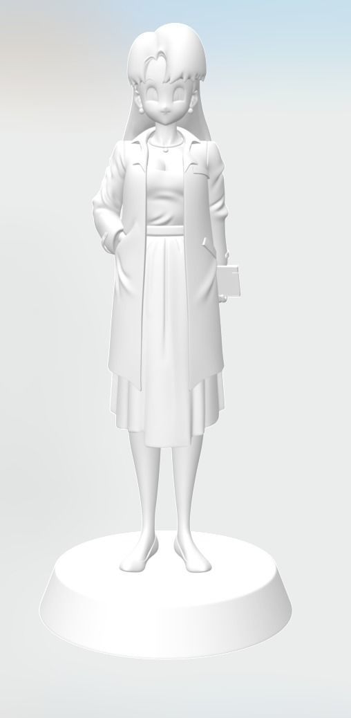 Dragon ball Secondary character pack 2 3D print model_11