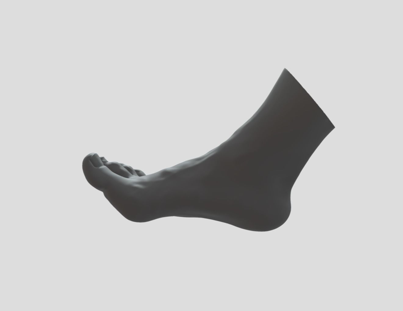 Feet - Foot - Paw 3D print model_4