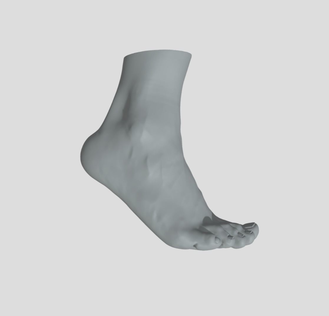 Feet - Foot - Paw 3D print model_2