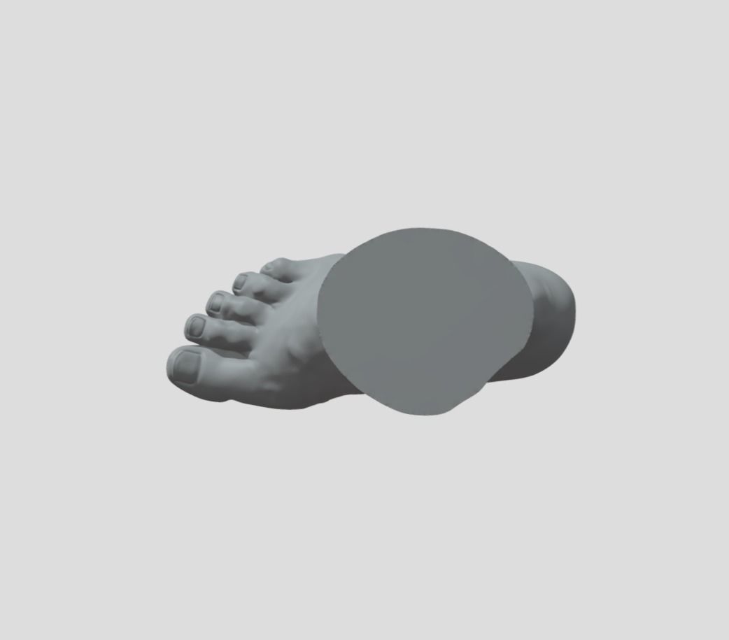 Feet - Foot - Paw 3D print model_1
