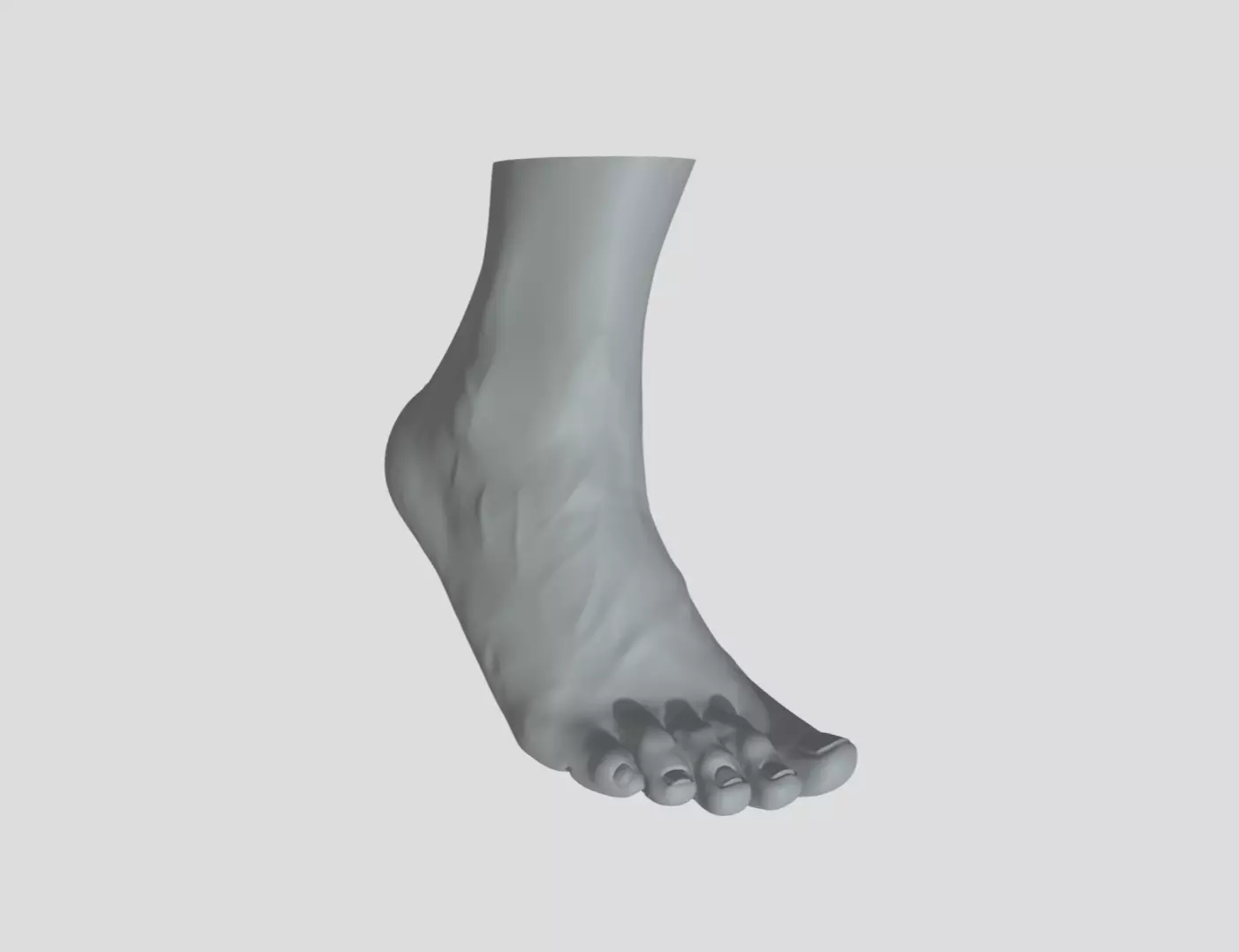 Feet - Foot - Paw 3D print model_0