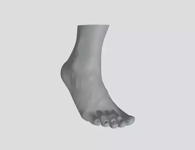 Feet - Foot - Paw 3D print model