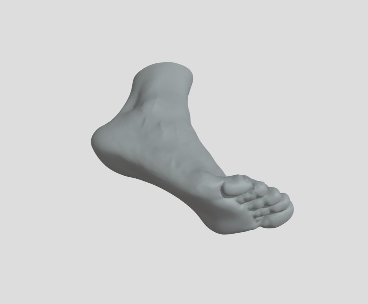 Feet - Foot - Paw 3D print model_3
