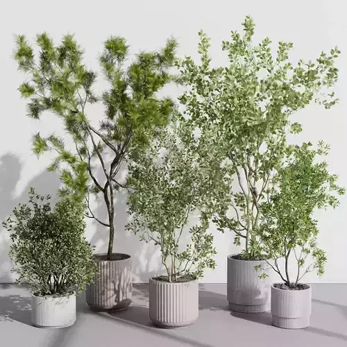 A Collection Trees in a concrete dirty vase - indoor plant 395 Low-poly 3D model