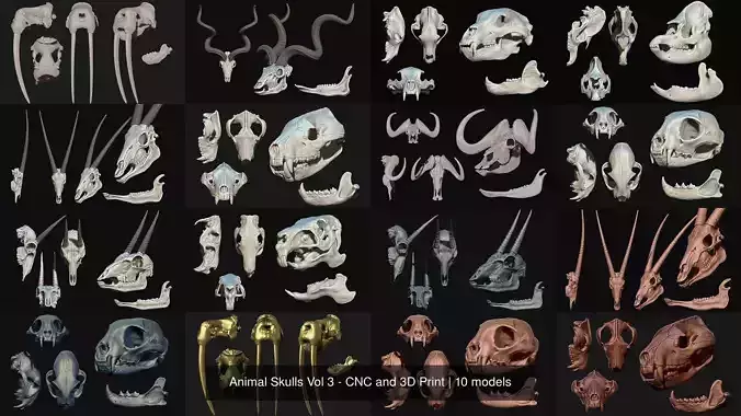 Animal Skulls Vol 3 - CNC and 3D Print 3D Model Collection
