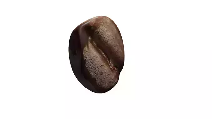  Realistic Coffee Bean 3D model