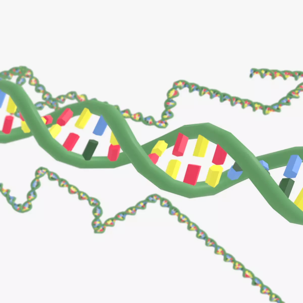 DNA molecule Low-poly 3D model