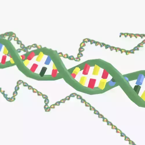 DNA molecule Low-poly 3D model
