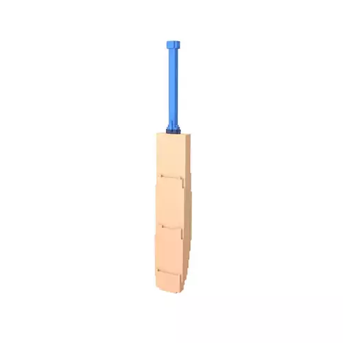 Voxel Cricket Bat v1 001