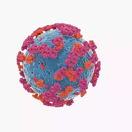 corona virus