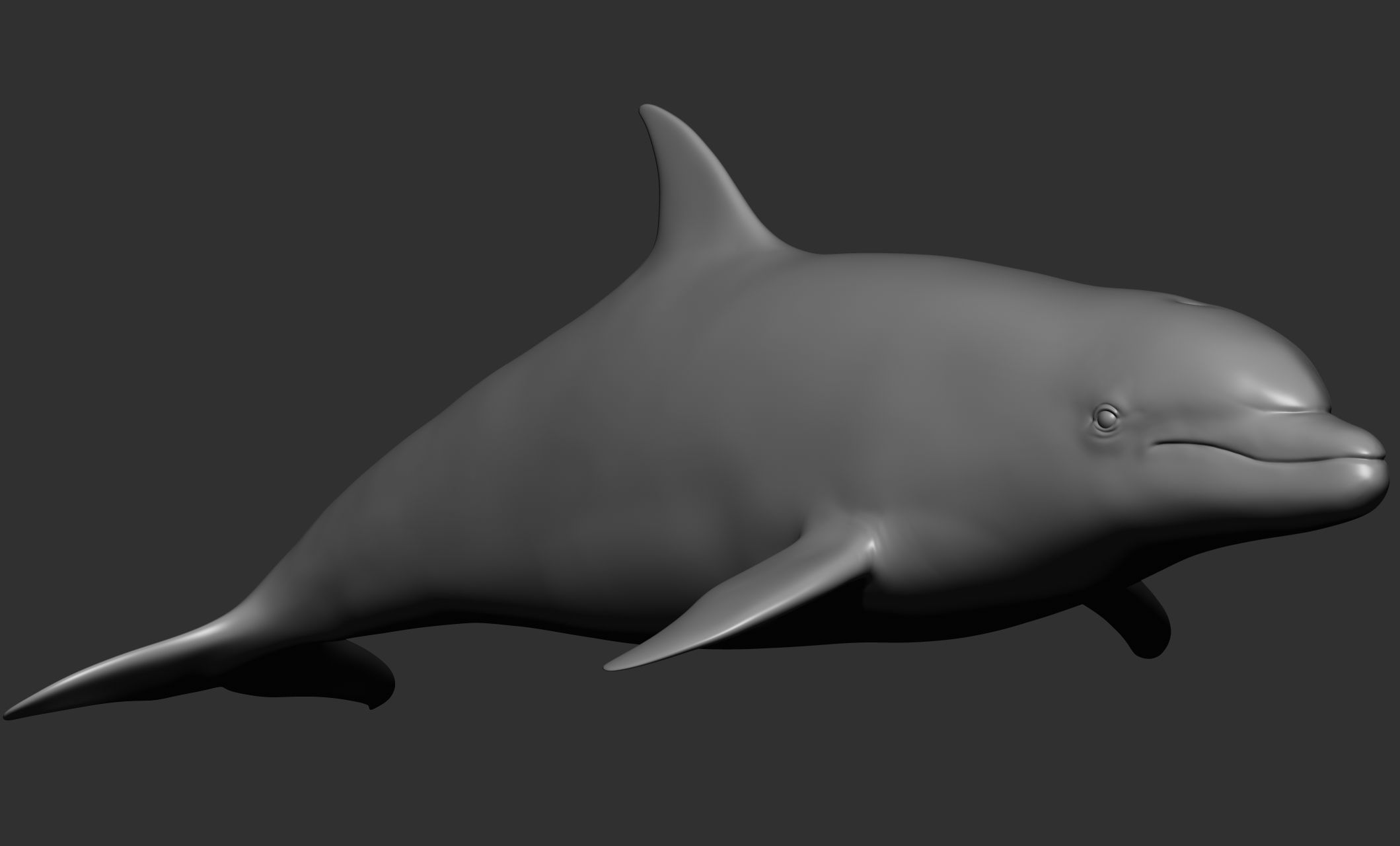 Ocean Wildlife 3D model_21