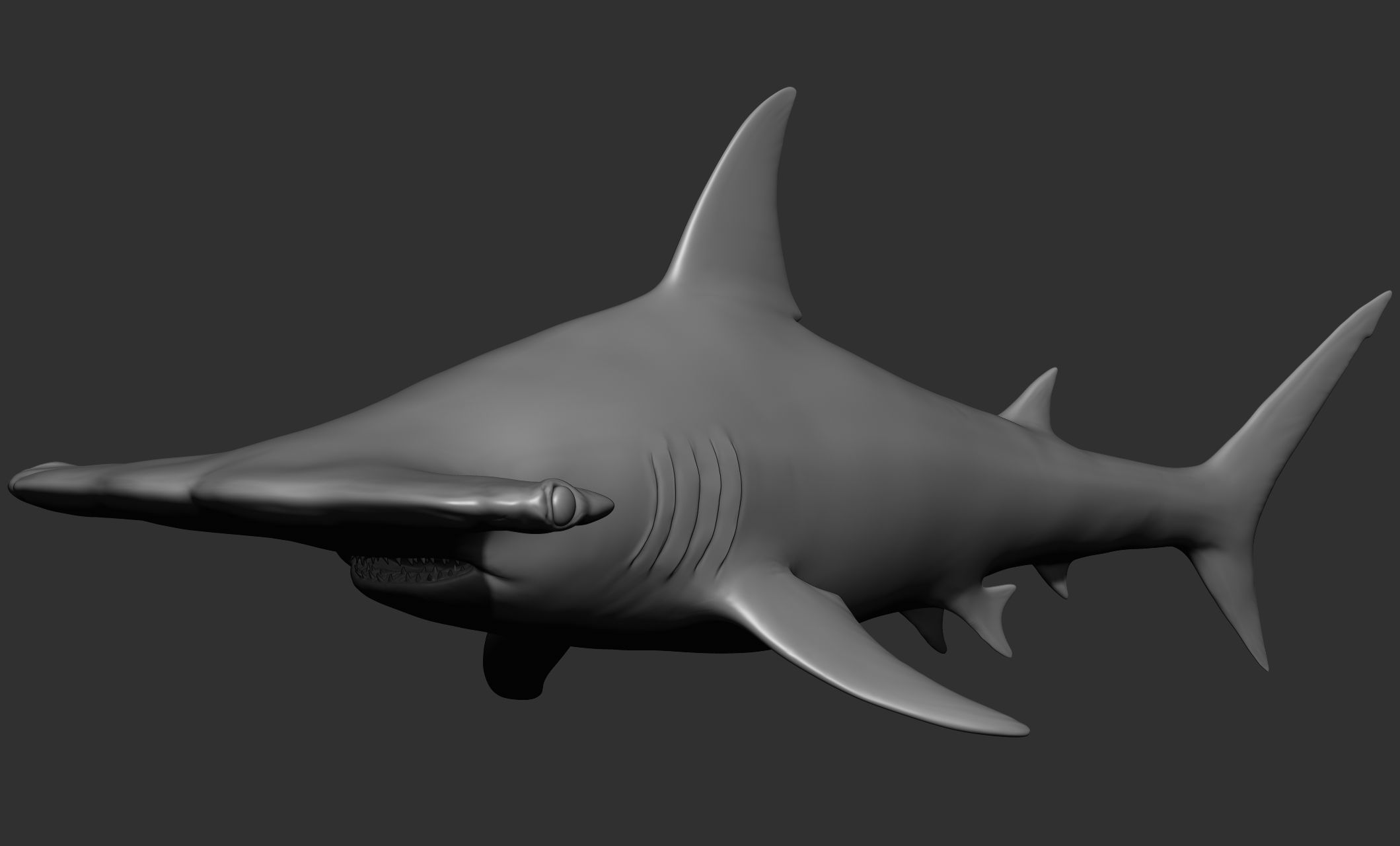 Ocean Wildlife 3D model_7