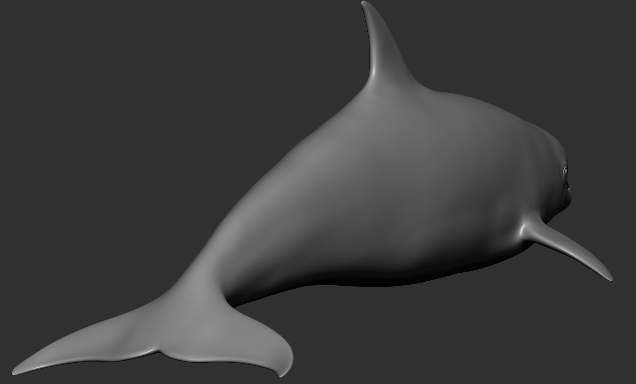 Ocean Wildlife 3D model_22