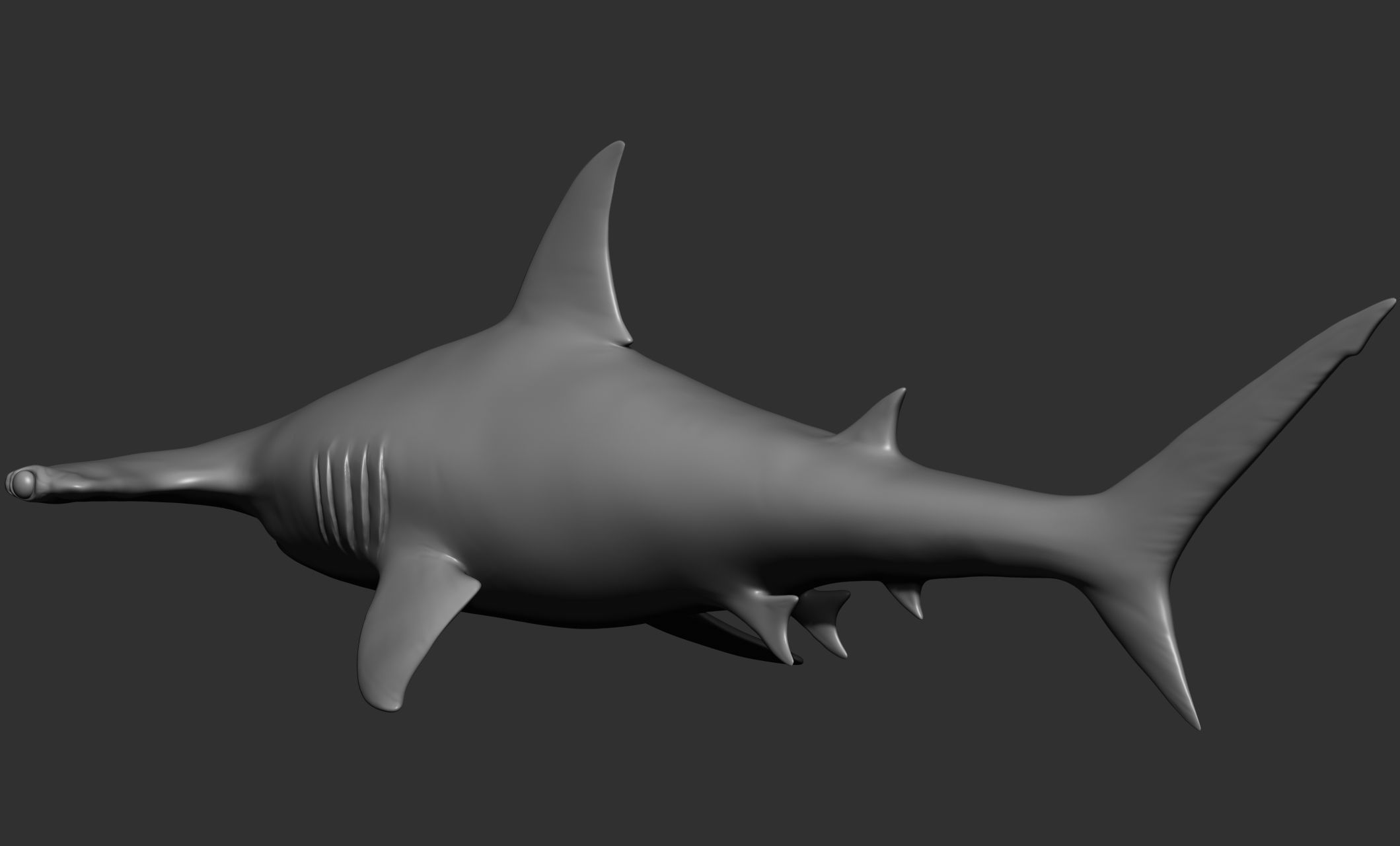 Ocean Wildlife 3D model_9