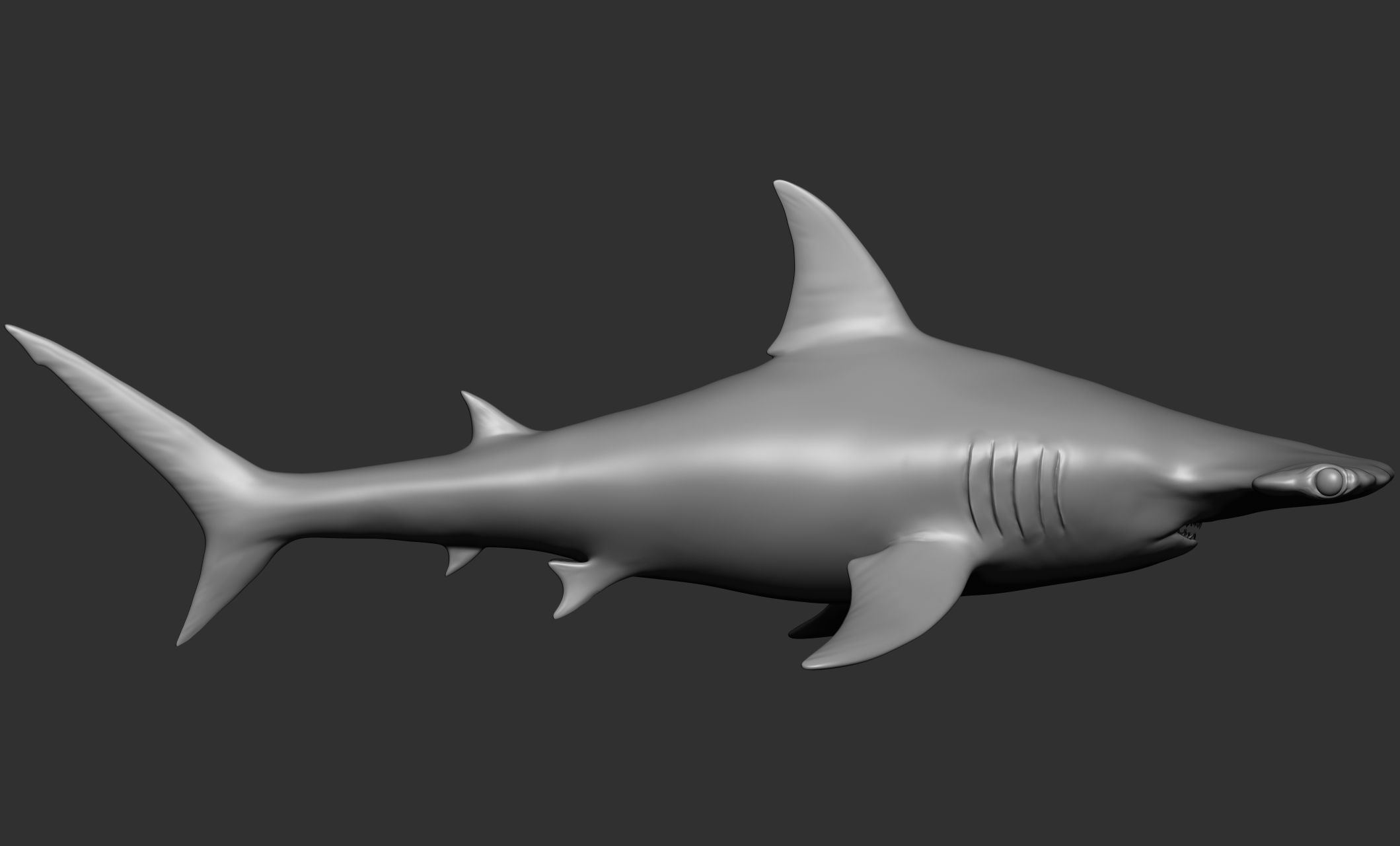 Ocean Wildlife 3D model_10