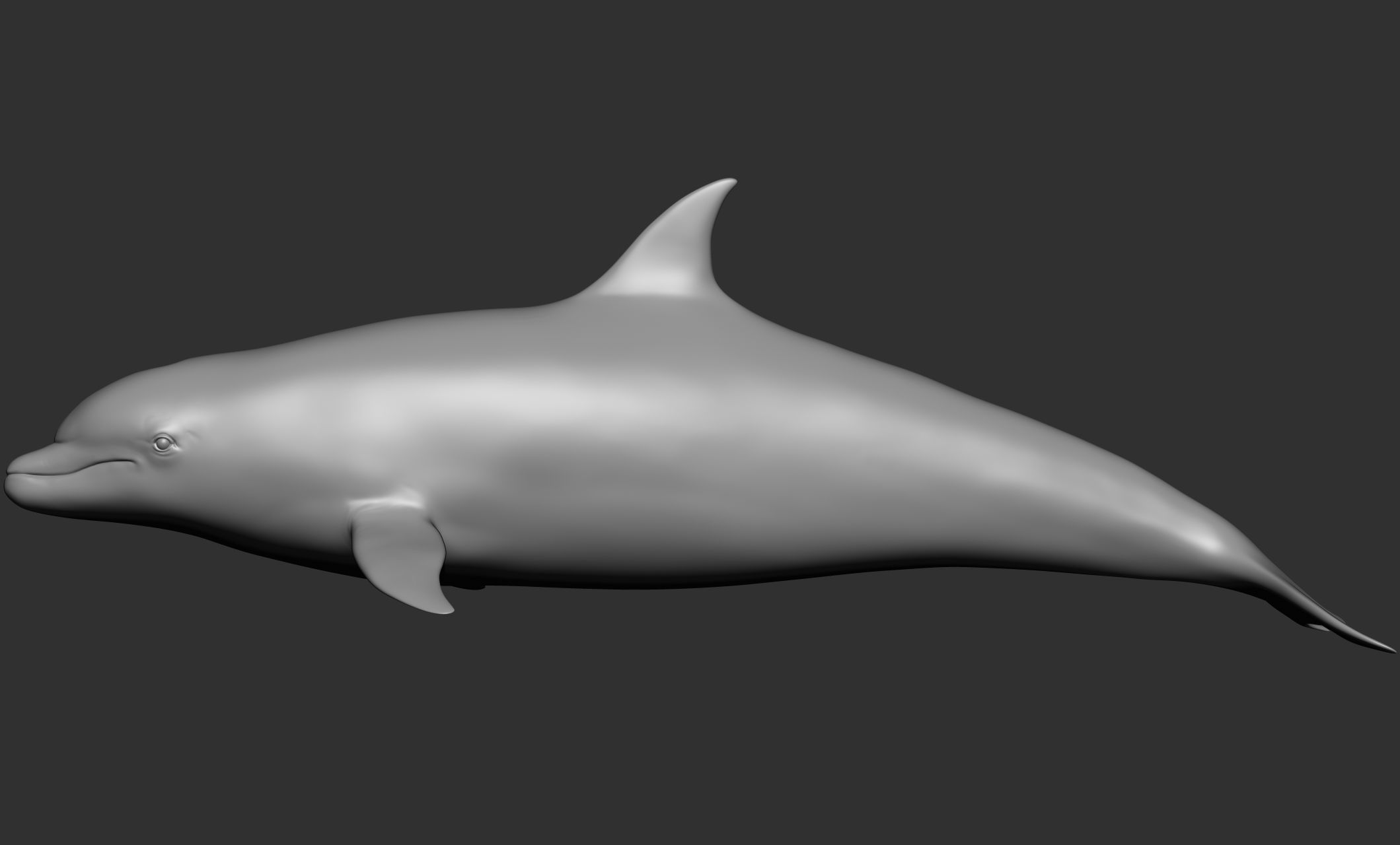 Ocean Wildlife 3D model_18