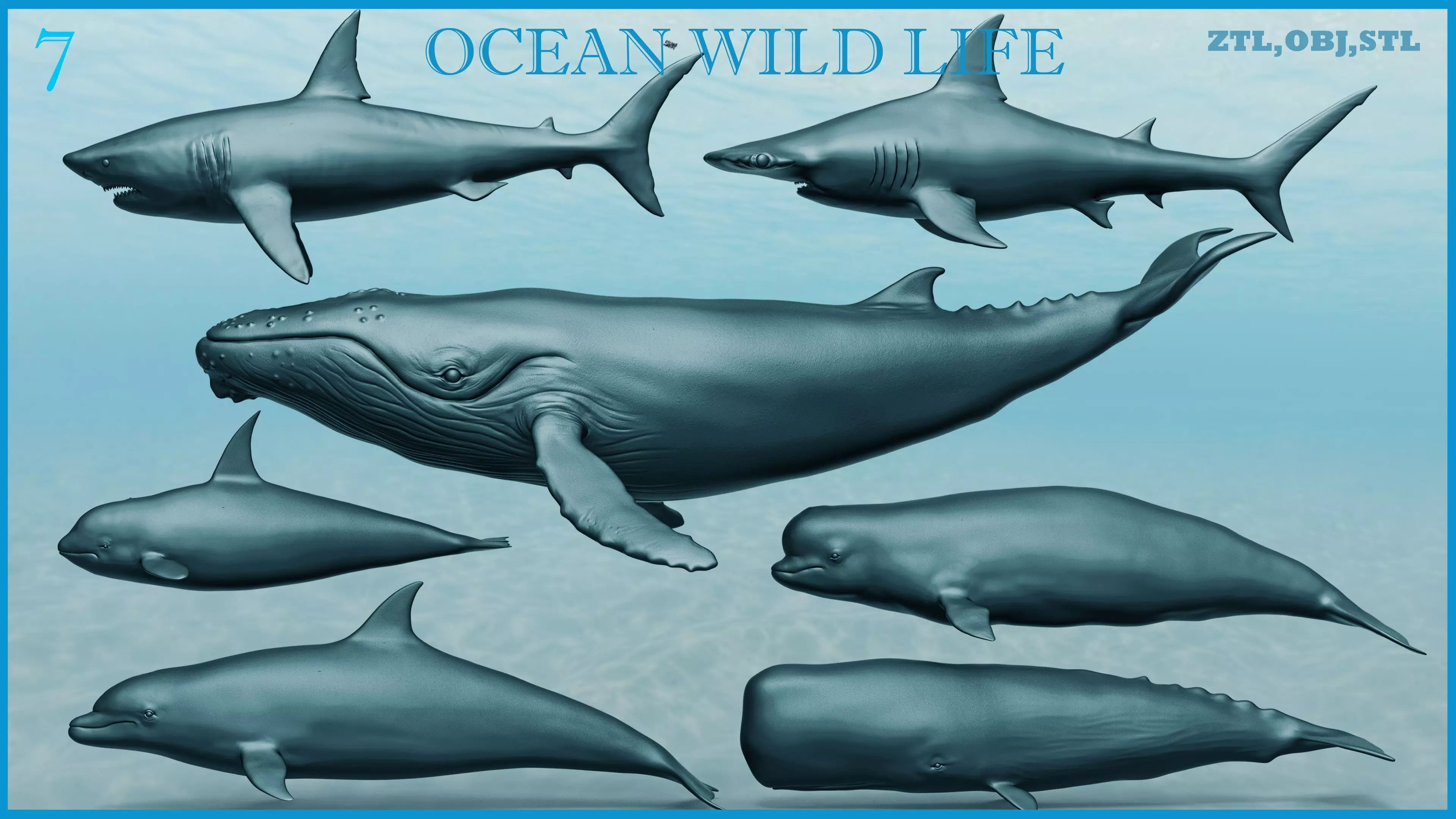Ocean Wildlife 3D model_0