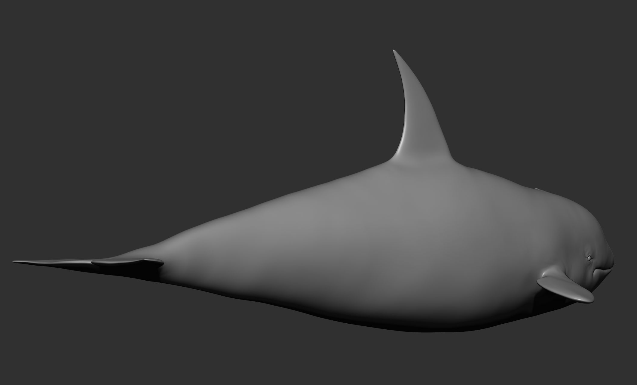Ocean Wildlife 3D model_33