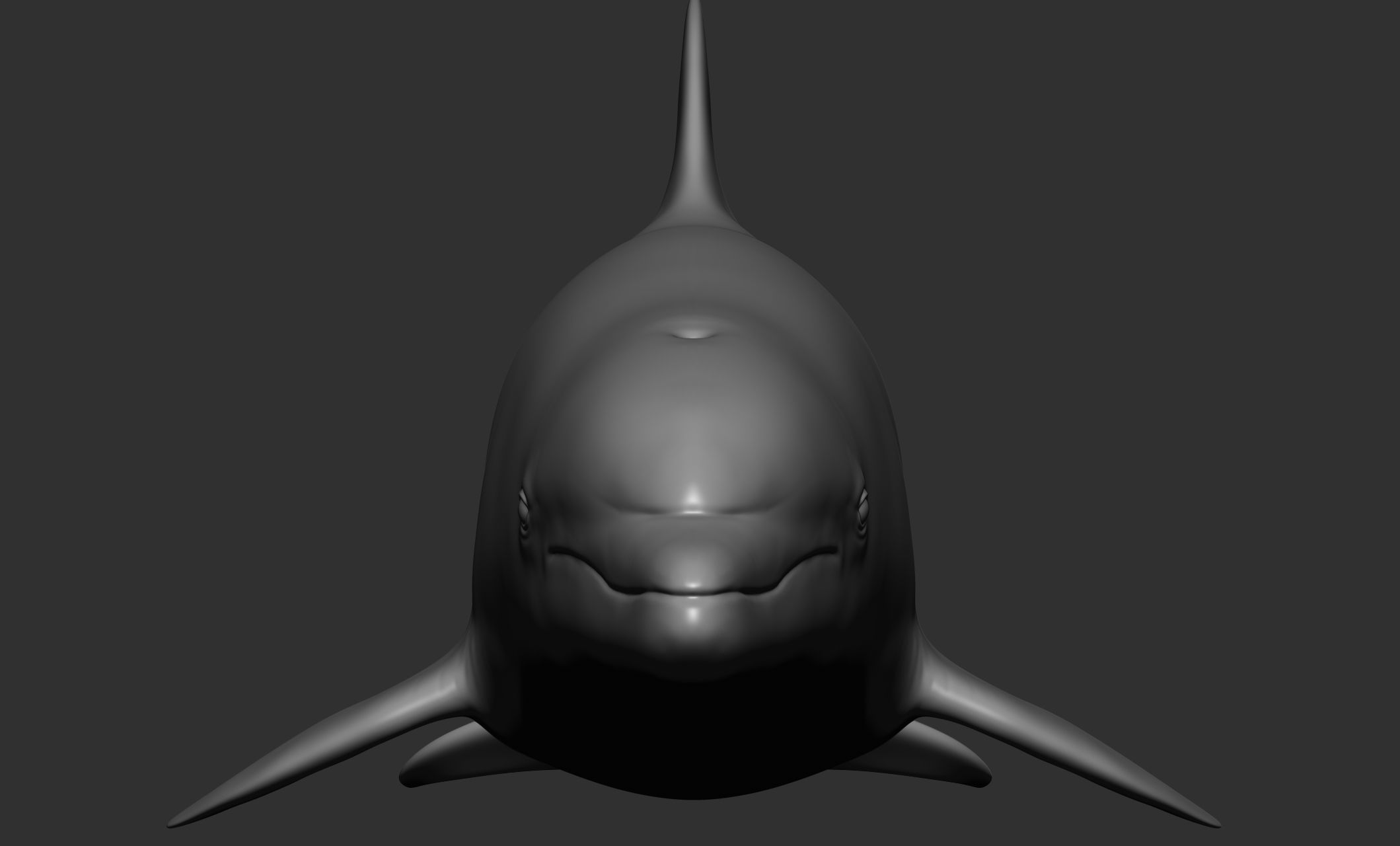 Ocean Wildlife 3D model_20