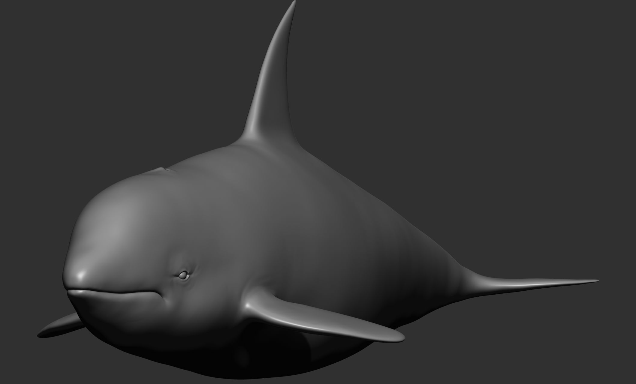 Ocean Wildlife 3D model_31