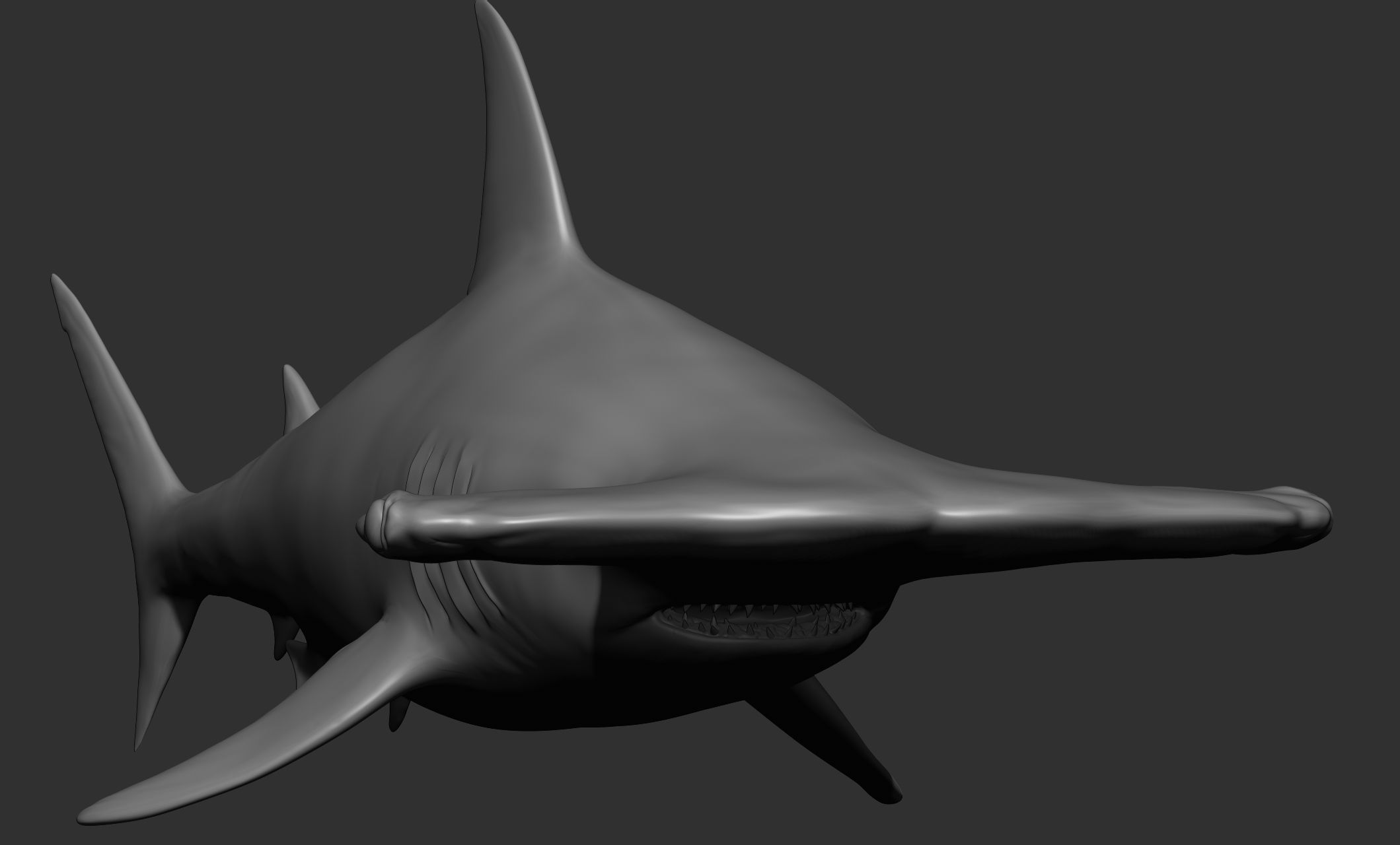 Ocean Wildlife 3D model_12