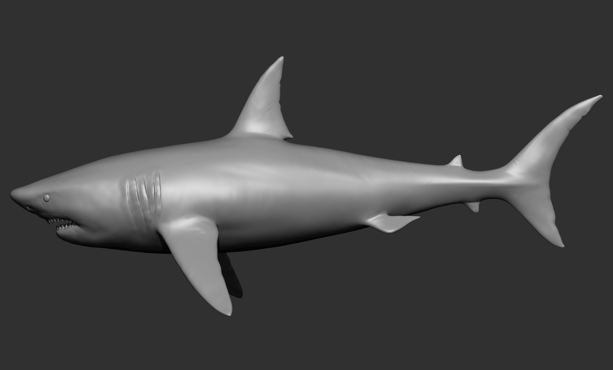 Ocean Wildlife 3D model_1