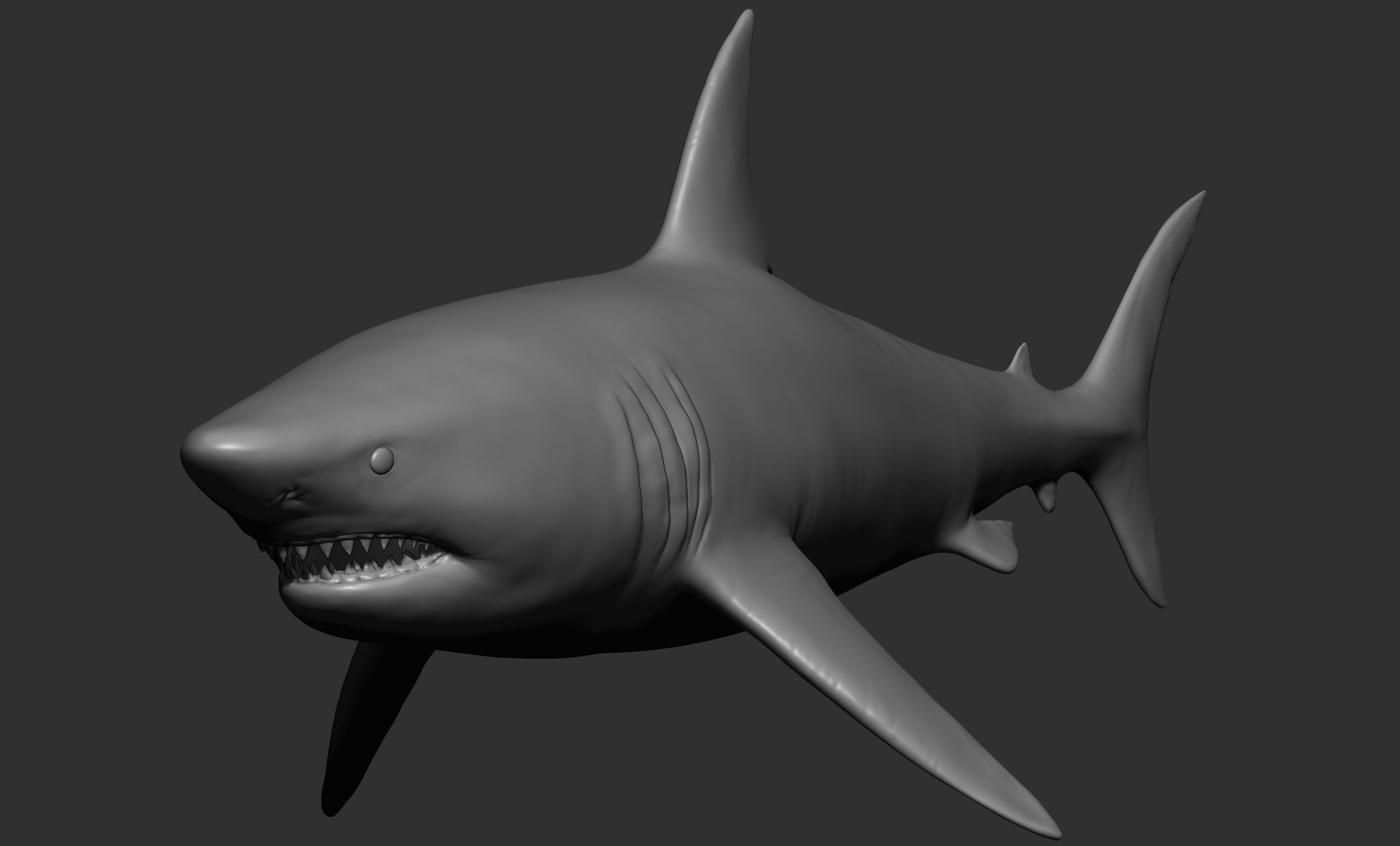 Ocean Wildlife 3D model_2