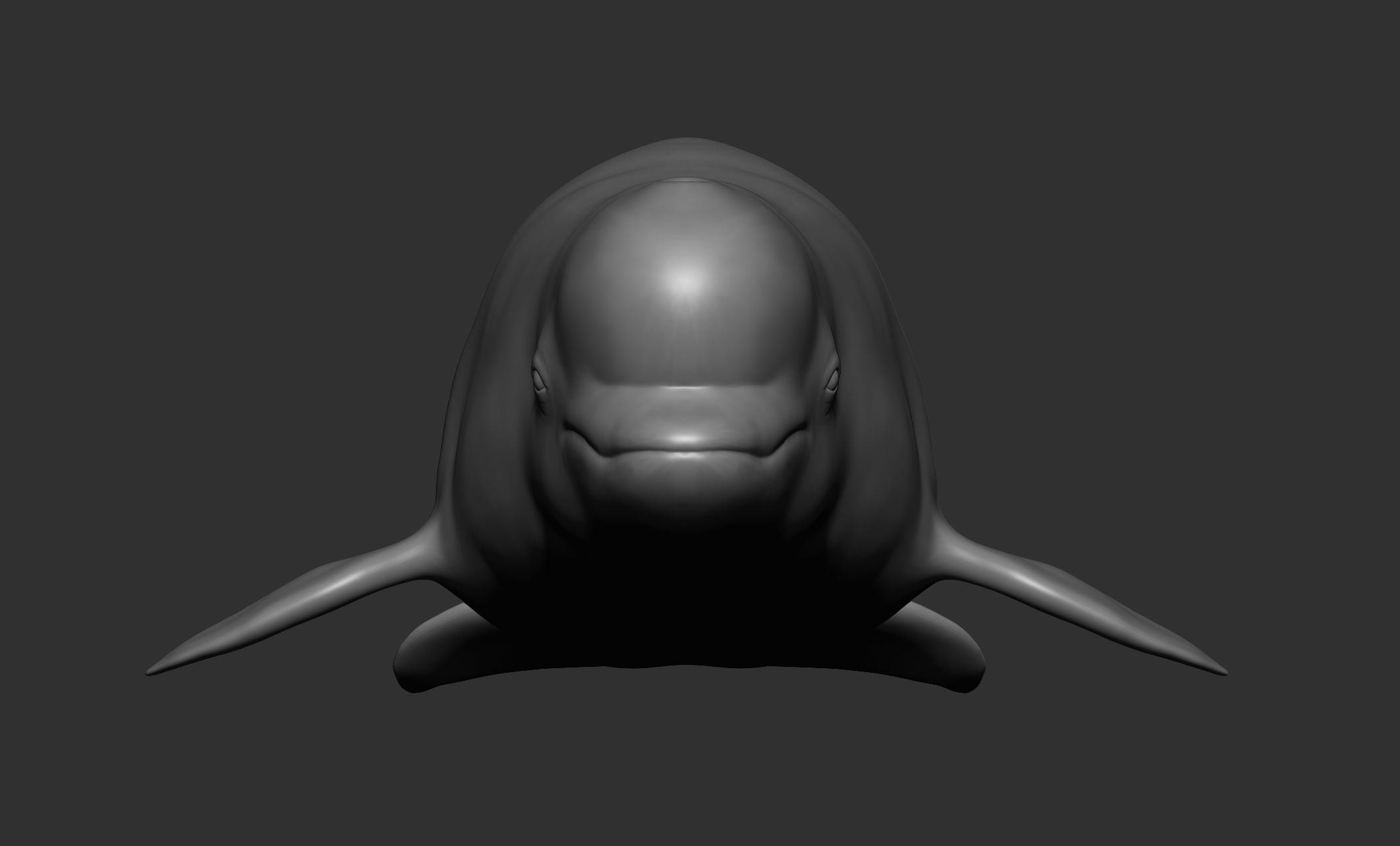 Ocean Wildlife 3D model_25