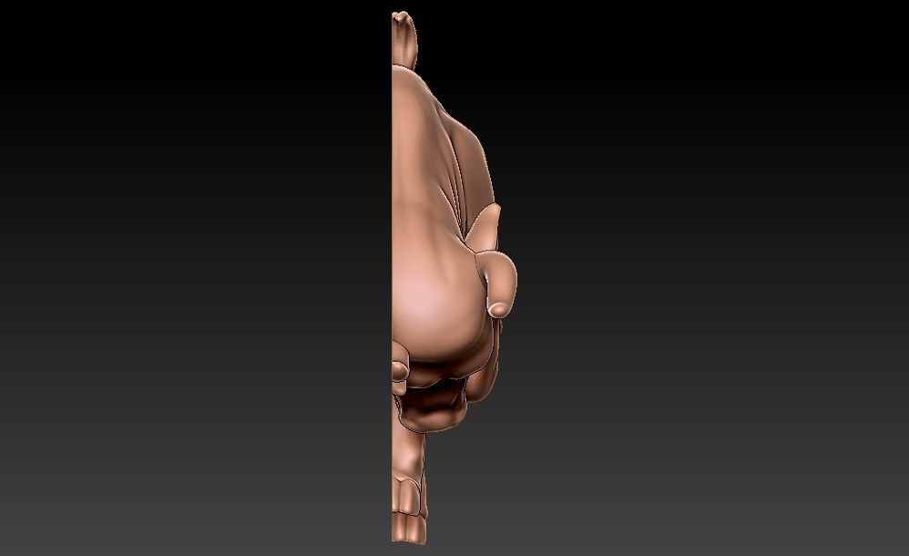 Bull 3D Printing  3D print model_1