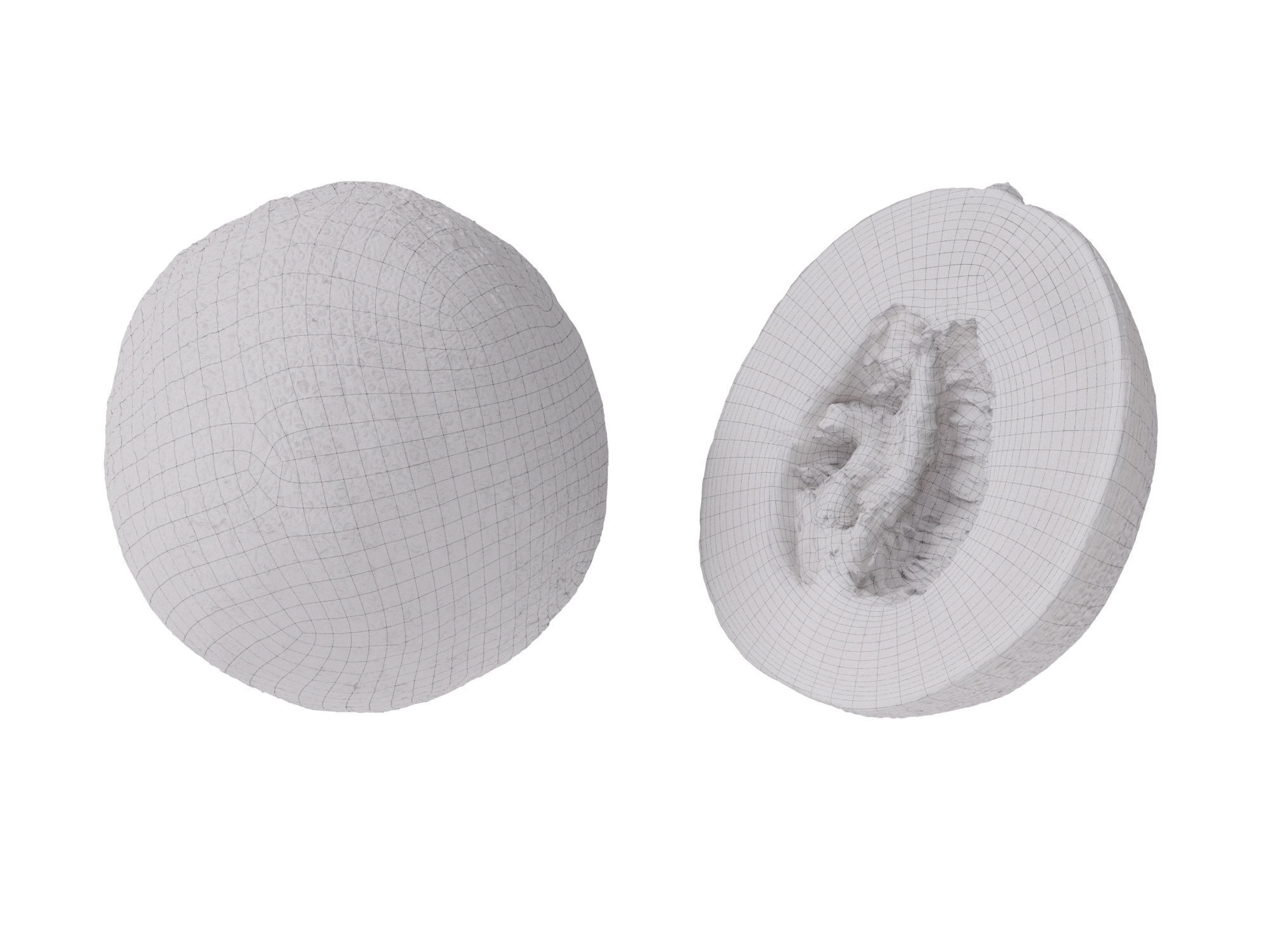 Melons 3D model | CGTrader