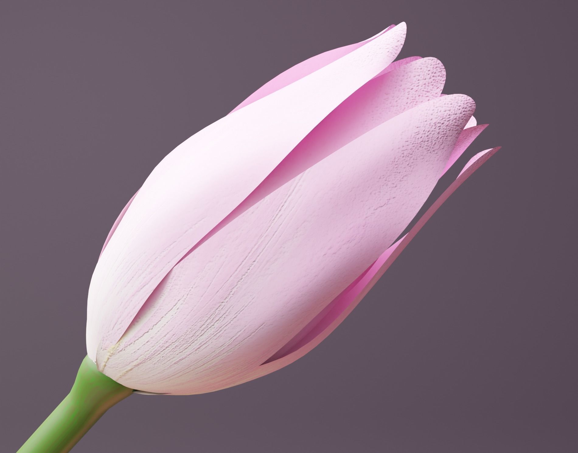 Tulips vase Low-poly 3D model_2