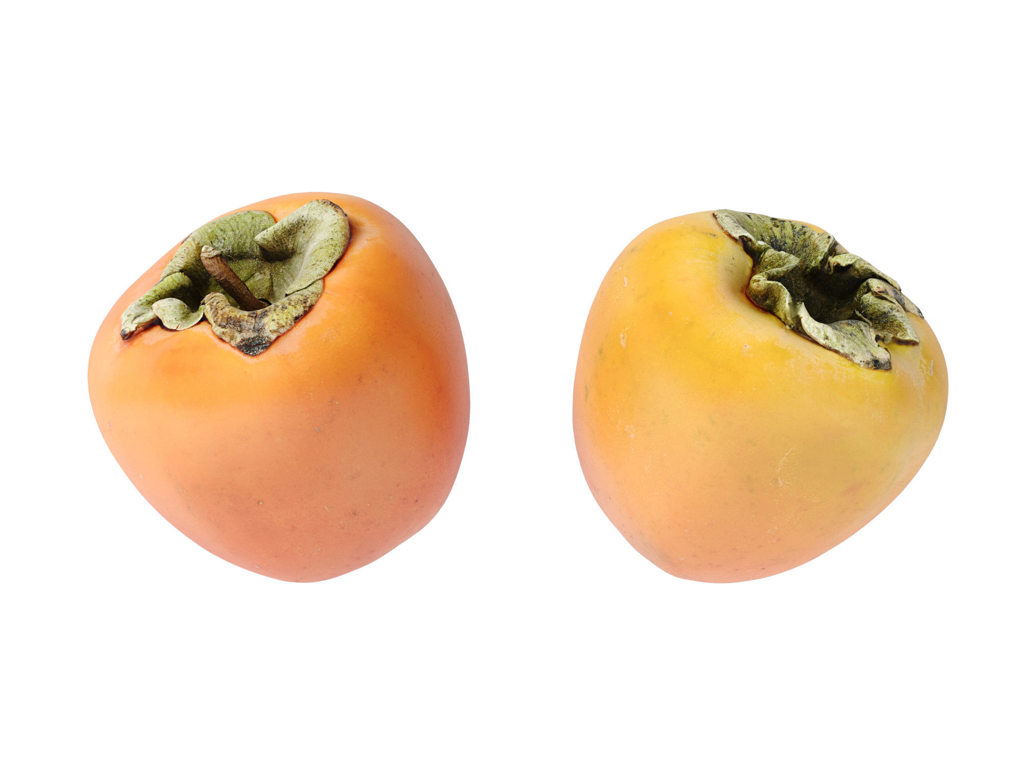 Persimmon 3D model_8