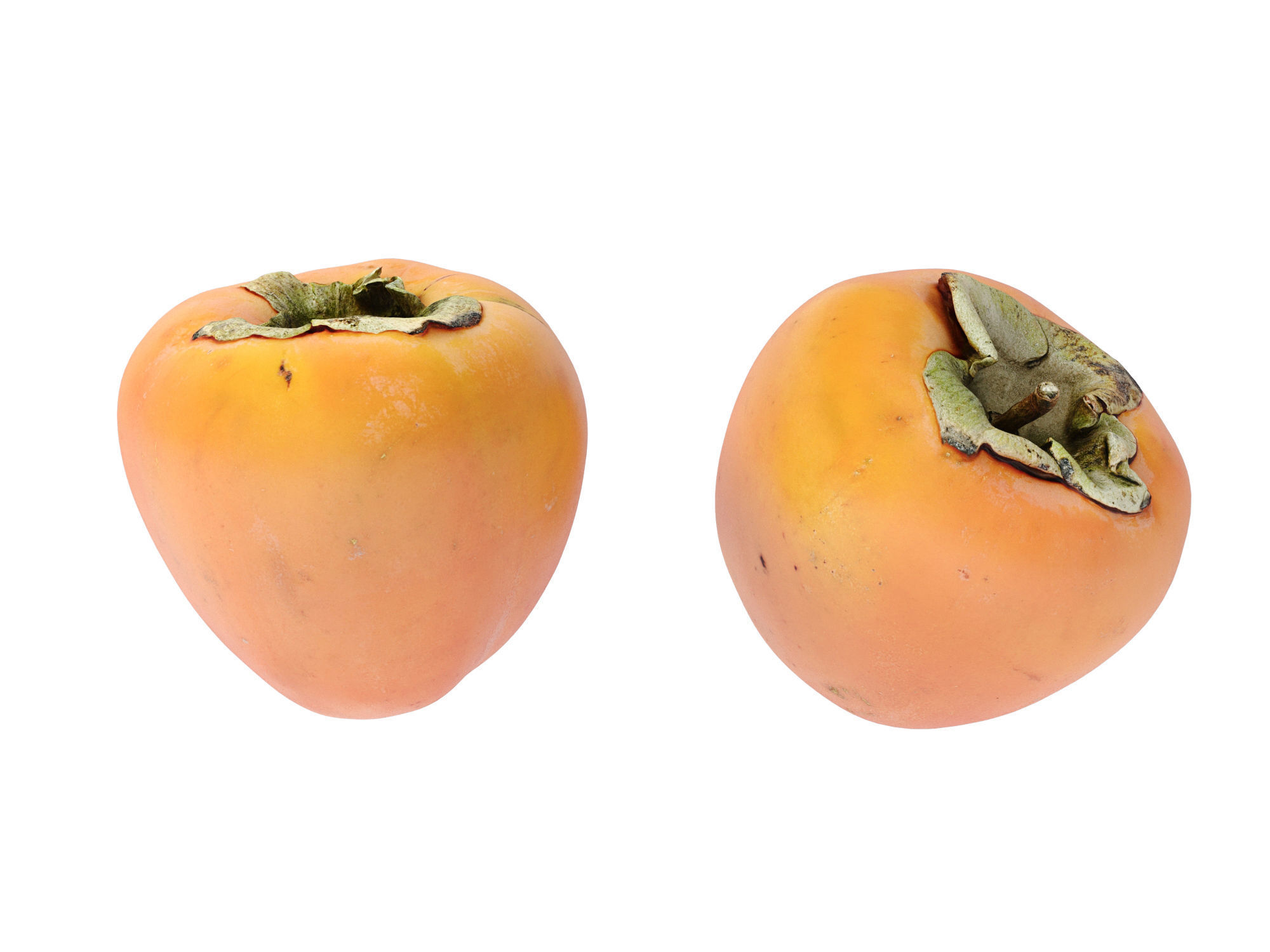Persimmon 3D model_6
