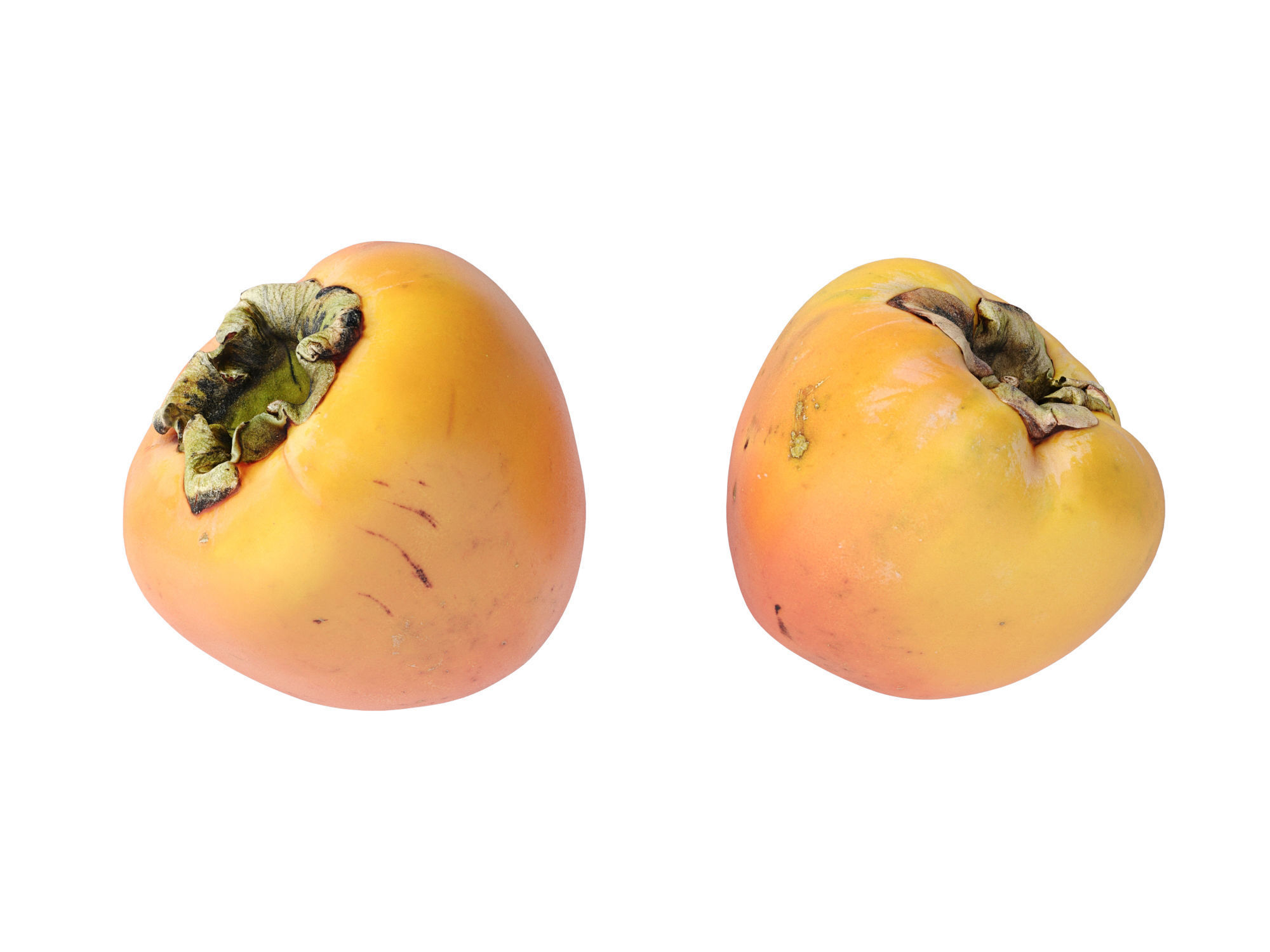 Persimmon 3D model_10