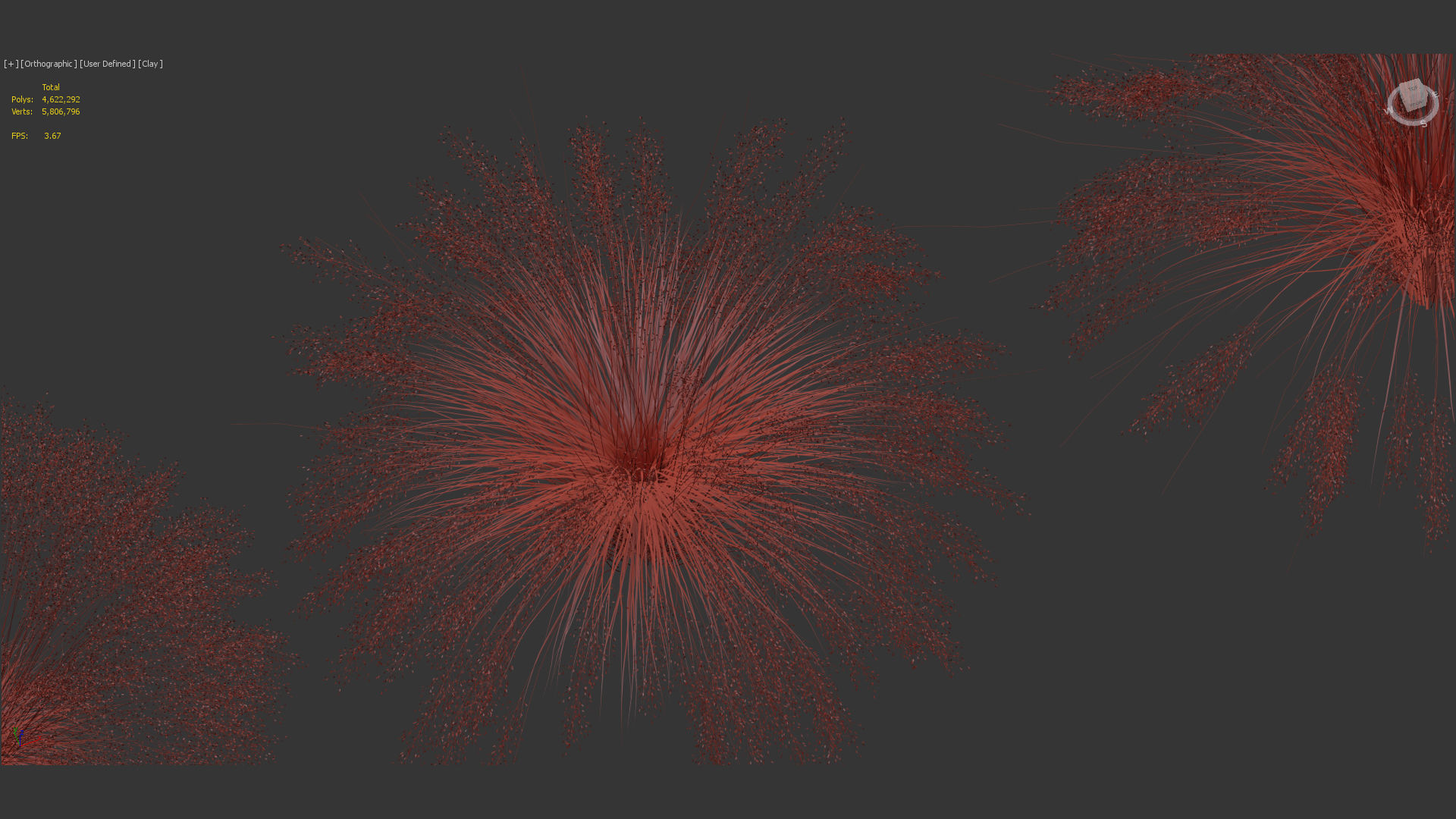 Muhly grass Muhlenbergia capillaris  3D model_12