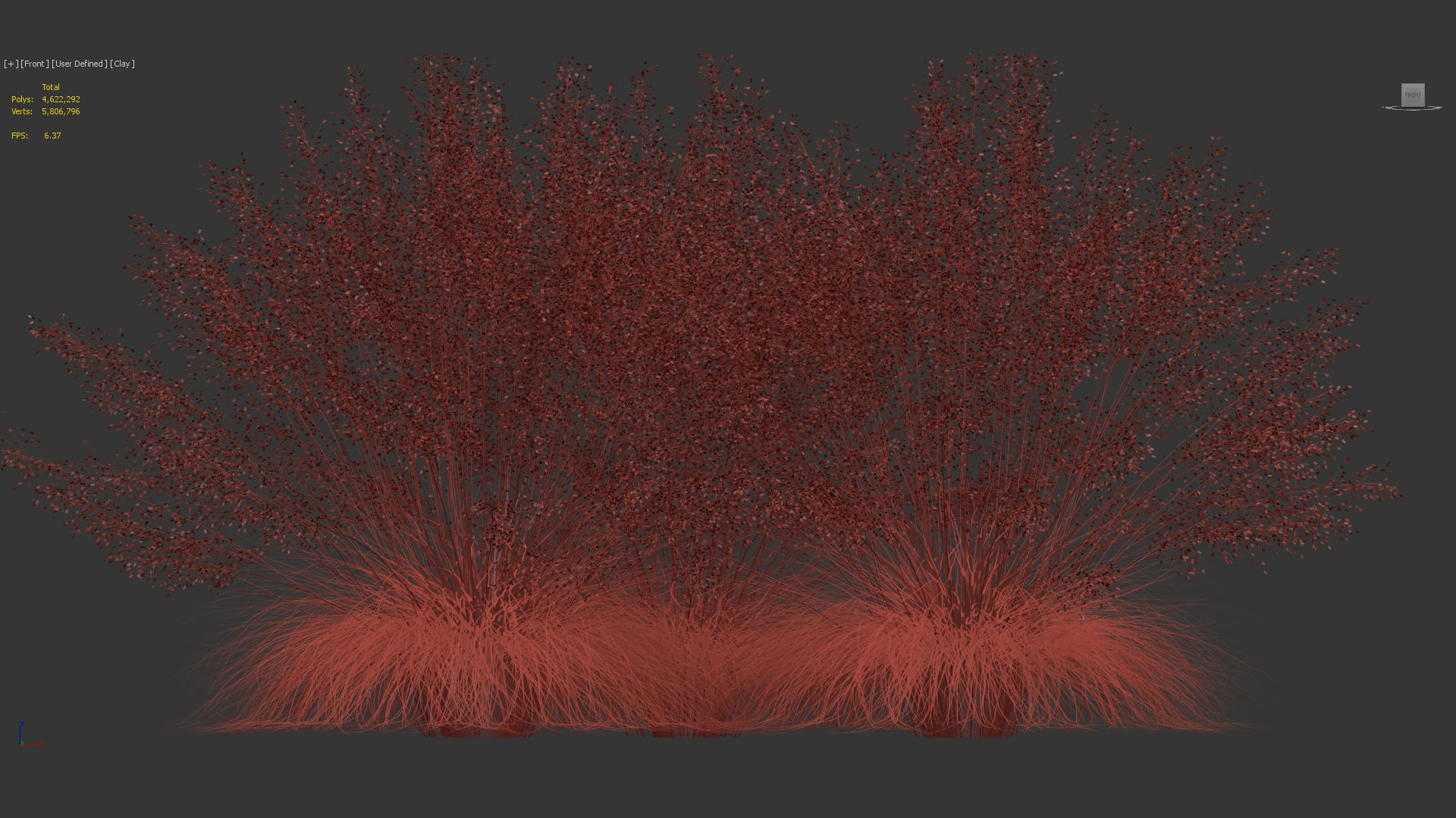 Muhly grass Muhlenbergia capillaris  3D model_10