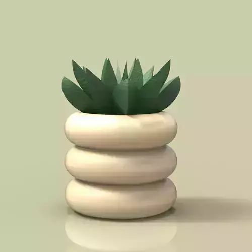 potted succulent and plants