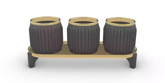 potted succulent and plants