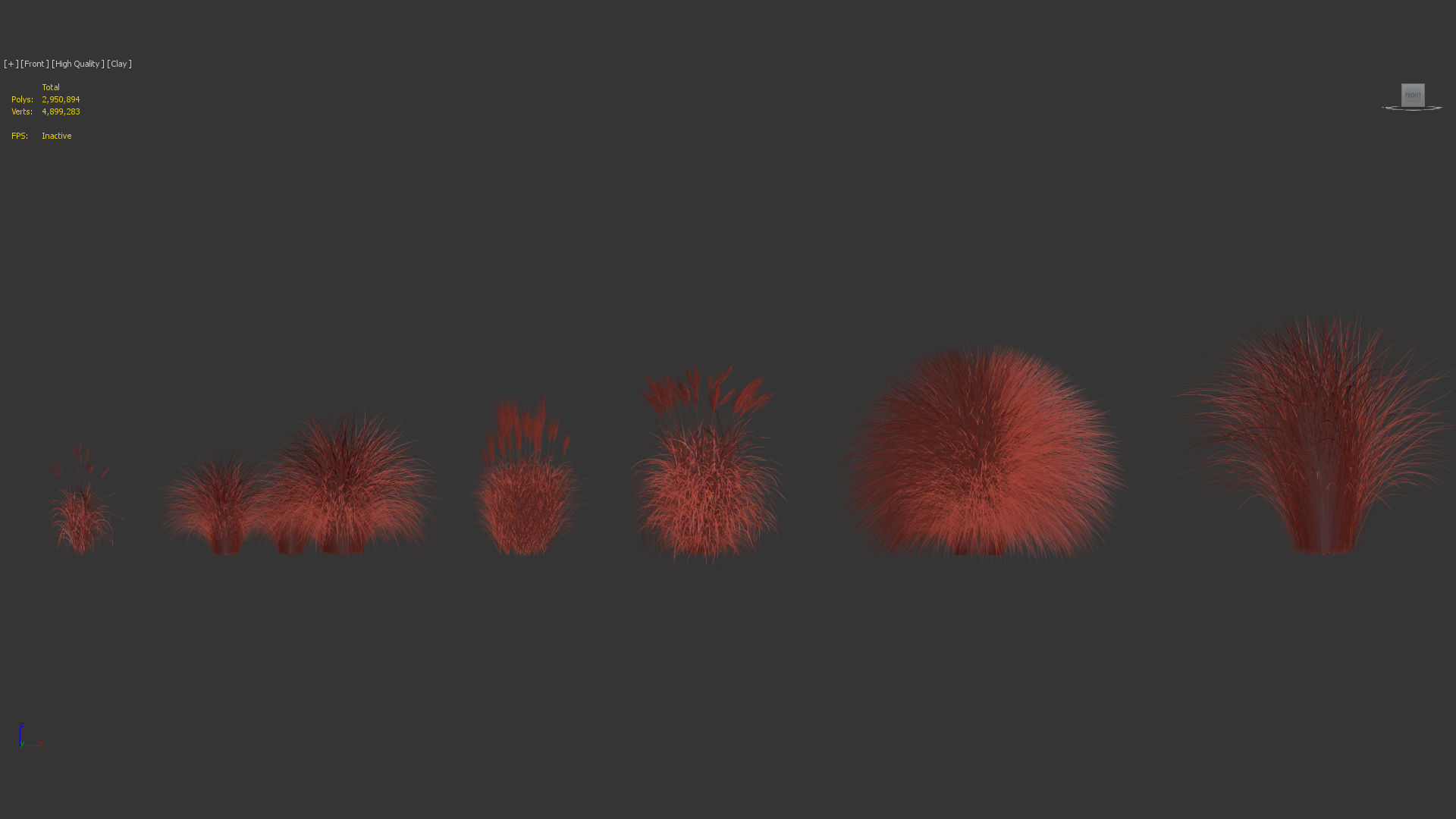 Miscanthus sinensis Eulalia grass 3D model_9