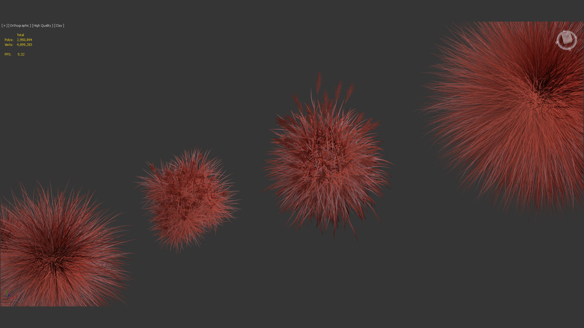 Miscanthus sinensis Eulalia grass 3D model_12