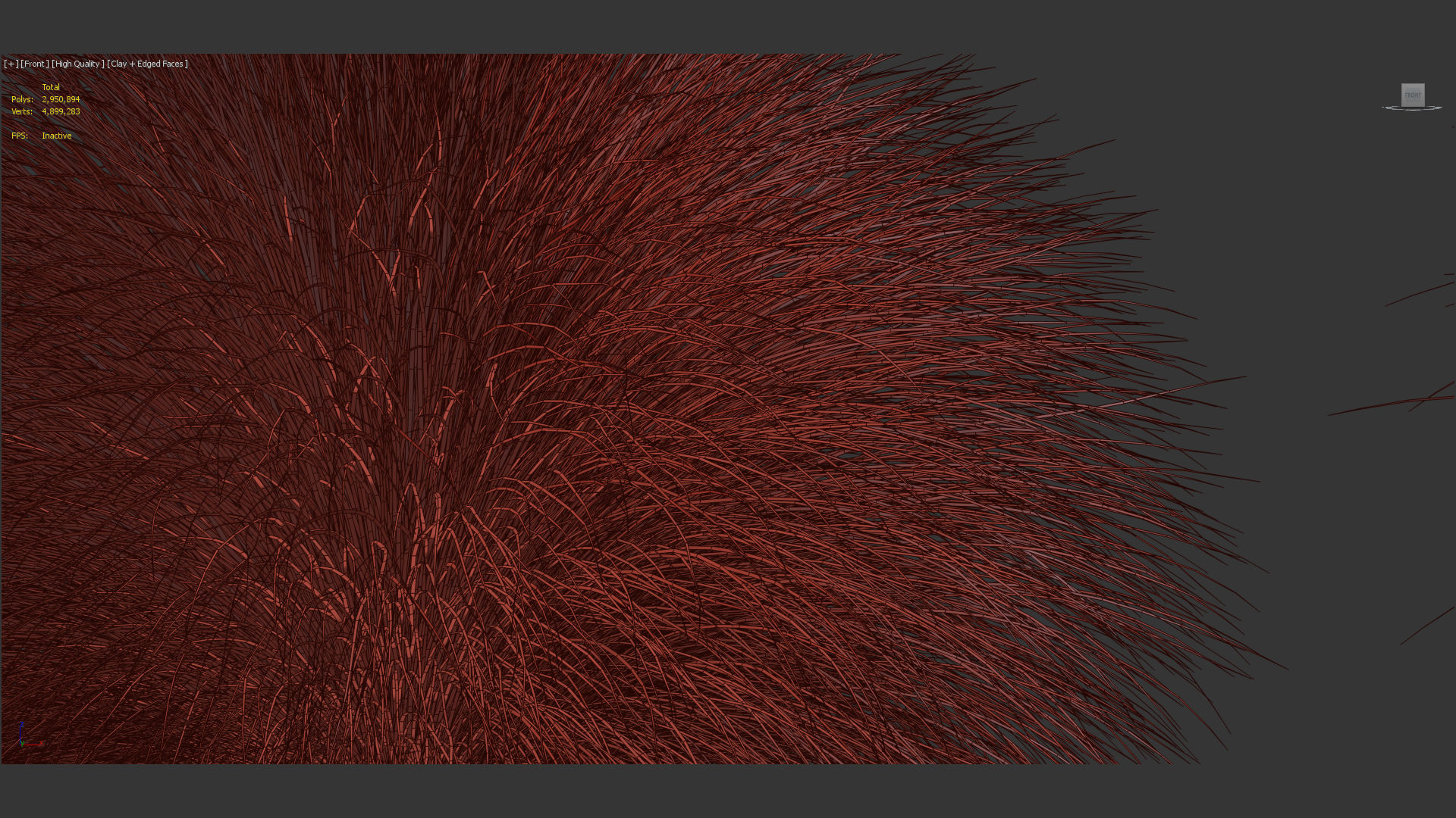 Miscanthus sinensis Eulalia grass 3D model_11